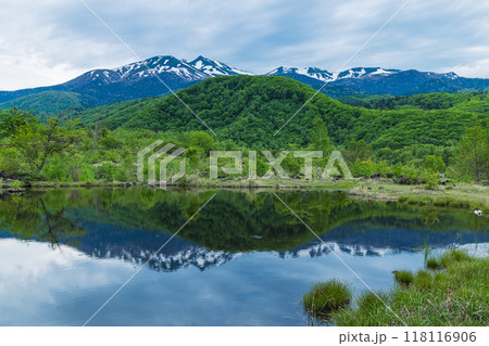 日本 長野県松本市安曇の乗鞍高原 まいめの池に鏡面上に映る乗鞍岳 日本 長野県松本市安曇の乗鞍高原 まいめの池に鏡面上に映る乗鞍岳 118116906