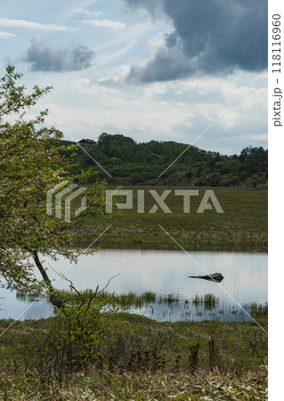 日本 長野県諏訪郡の八ヶ岳中信高原国定公園中部の霧ヶ峰にある八島ヶ原湿原 日本 長野県諏訪郡の八ヶ岳中信高原国定公園中部の霧ヶ峰にある八島ヶ原湿原 118116960