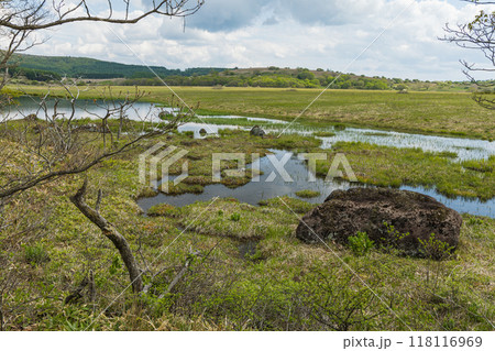 日本　長野県諏訪郡の八ヶ岳中信高原国定公園中部の霧ヶ峰にある八島ヶ原湿原 118116969
