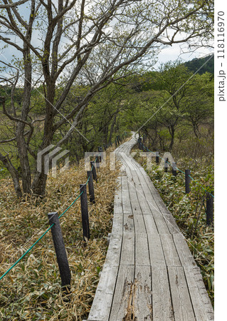 日本　長野県諏訪郡の八ヶ岳中信高原国定公園中部の霧ヶ峰にある八島ヶ原湿原 118116970