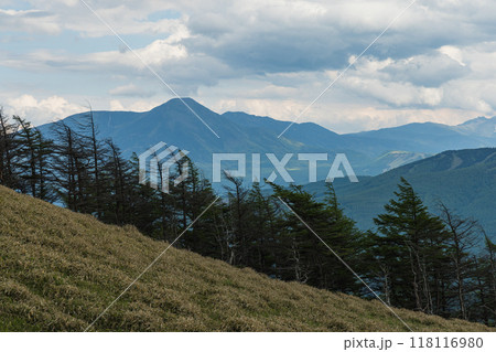 日本 長野県小県郡にある三峰茶屋から見える蓼科山 日本 長野県小県郡にある三峰茶屋から見える蓼科山 118116980
