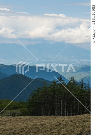 日本　長野県小県郡にある三峰茶屋から見える風景 118116982