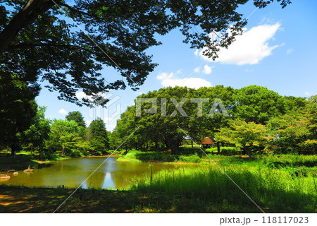 緑に囲まれて池の風景1 緑に囲まれて池の風景1 118117023