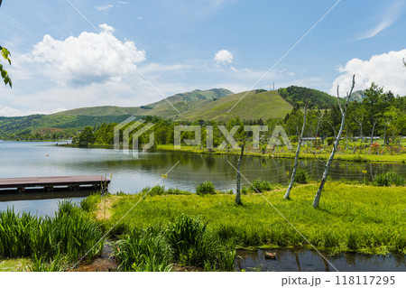 日本 長野県北佐久郡立科町にある白樺湖と新緑に囲まれた湖畔の風景 日本 長野県北佐久郡立科町にある白樺湖と新緑に囲まれた湖畔の風景 118117295
