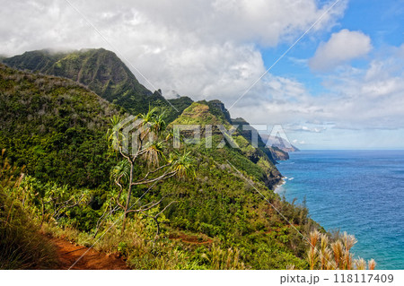 カウアイ島　カララウトレイルの景色 118117409