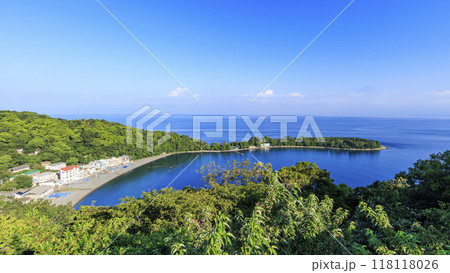大瀬崎からみた富士山 大瀬崎からみた富士山 118118026