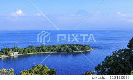 大瀬崎からみた富士山 118118032