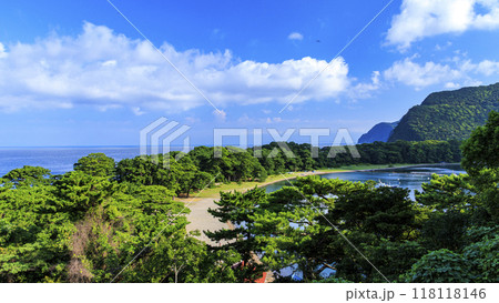 土肥から見た御浜岬と富士山 土肥から見た御浜岬と富士山 118118146