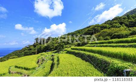 棚田のある風景 118118383
