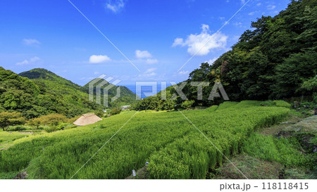 棚田のある風景 棚田のある風景 118118415