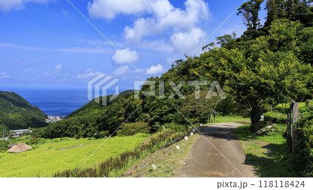 棚田のある風景 118118424