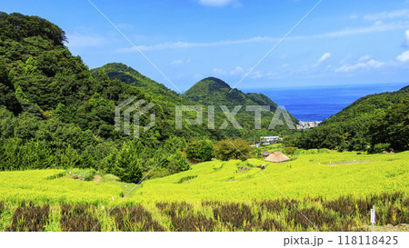 棚田のある風景 118118425