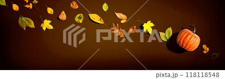 Autumn pumpkin with colorful leaves overhead view 118118548