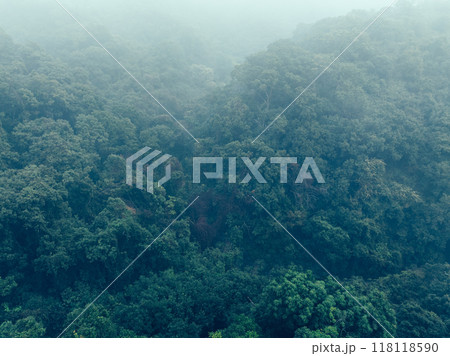 Aerial view of foggy forest mountain landscape in spring Aerial view of foggy forest mountain landscape in spring 118118590
