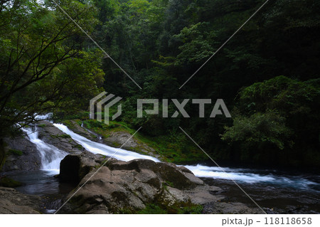夏の菊池渓谷 118118658