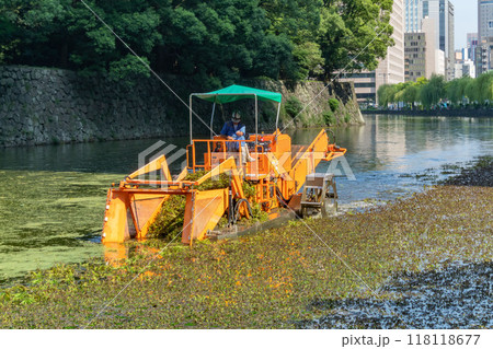皇居お堀での水草除去作業 皇居お堀での水草除去作業 118118677