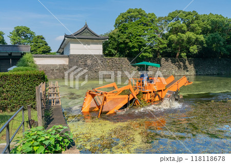 皇居お堀での水草除去作業 皇居お堀での水草除去作業 118118678