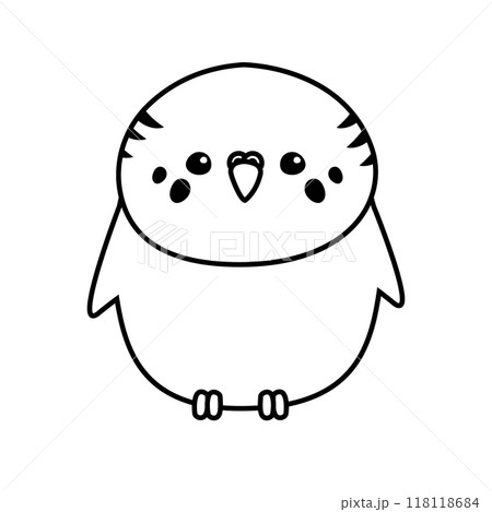 Vector flat hand drawn outline budgie parrot 118118684