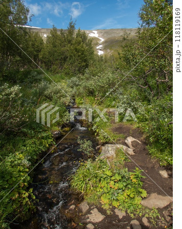 Small stream and Mountains with snow, at Kebnekaise mountain station, Lapland, Sweden. 118119169