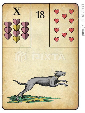 ルノルマンカード　18　犬 118120451