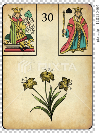 Lenormand Card 30 Lily 118120464