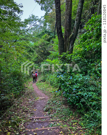 大阪・東大阪 摂河泉ハイキングコース 大阪・東大阪 摂河泉ハイキングコース 118120845