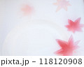 もみじの舞 118120908
