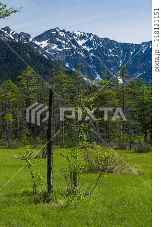 日本　長野県松本市安曇にある山岳景勝地の上高地　田代湿原と後ろに見える穂高連峰 118121151