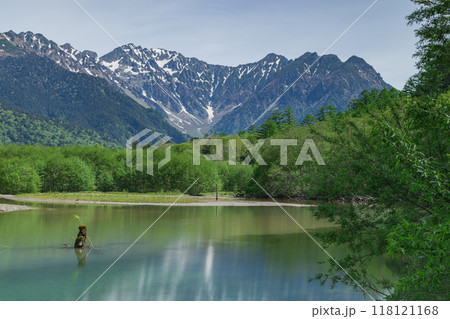 日本 長野県松本市安曇にある山岳景勝地の上高地 新緑に囲まれた大正池と後ろに見える穂高連峰 日本 長野県松本市安曇にある山岳景勝地の上高地 新緑に囲まれた大正池と後ろに見える穂高連峰 118121168