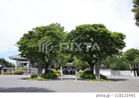 埼玉県さいたま市の普門院の風景 埼玉県さいたま市の普門院の風景 118121491