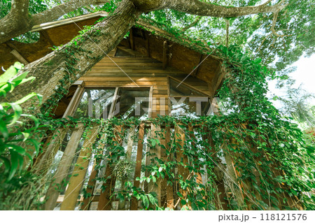 Wooden tree cabin Wooden tree cabin 118121576