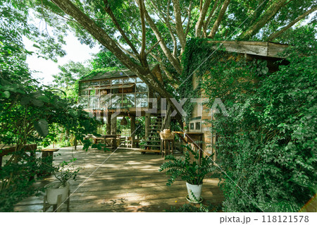 Wooden tree cabin 118121578