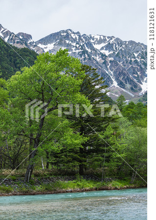 日本 長野県松本市安曇にある山岳景勝地の上高地 新緑に囲まれた梓川と後ろに見える穂高連峰 日本 長野県松本市安曇にある山岳景勝地の上高地 新緑に囲まれた梓川と後ろに見える穂高連峰 118121631