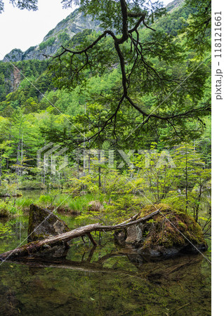 日本 長野県松本市安曇にある山岳景勝地の上高地 穂高神社奥宮神域の明神池の二之池 日本 長野県松本市安曇にある山岳景勝地の上高地 穂高神社奥宮神域の明神池の二之池 118121661