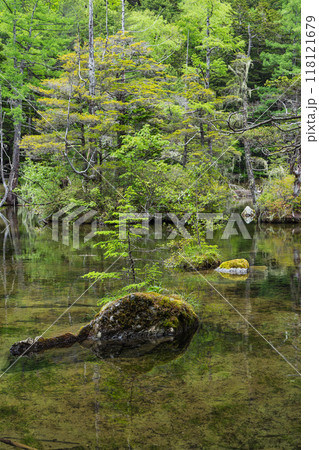 日本　長野県松本市安曇にある山岳景勝地の上高地　穂高神社奥宮神域の明神池の二之池 118121679