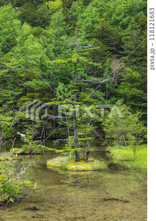 日本 長野県松本市安曇にある山岳景勝地の上高地 穂高神社奥宮神域の明神池の二之池 日本 長野県松本市安曇にある山岳景勝地の上高地 穂高神社奥宮神域の明神池の二之池 118121683