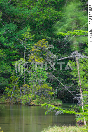 日本 長野県松本市安曇にある山岳景勝地の上高地 穂高神社奥宮神域の明神池の二之池 日本 長野県松本市安曇にある山岳景勝地の上高地 穂高神社奥宮神域の明神池の二之池 118121688