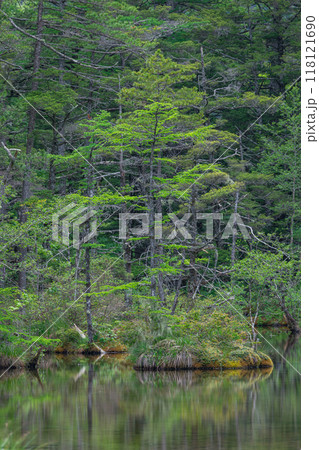 日本 長野県松本市安曇にある山岳景勝地の上高地 穂高神社奥宮神域の明神池の二之池 日本 長野県松本市安曇にある山岳景勝地の上高地 穂高神社奥宮神域の明神池の二之池 118121690