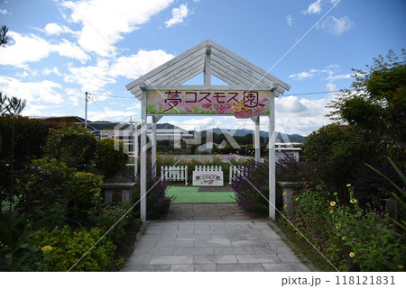 夢コスモス園 亀岡 夢コスモス園 亀岡 118121831