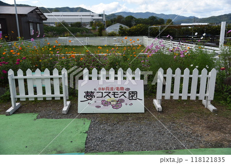 夢コスモス園 亀岡 夢コスモス園 亀岡 118121835