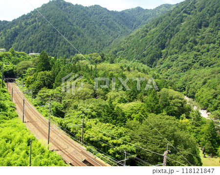 新緑の中の路線 新緑の中の路線 118121847