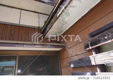 スズメバチの巣01 118121912