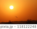 夕日と白鳥 118122248