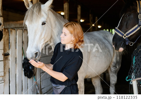 Feeding Horse in Stable with Gentle Touch 118122335