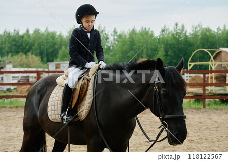 Riding Horse in Traditional Equestrian Outfit 118122567