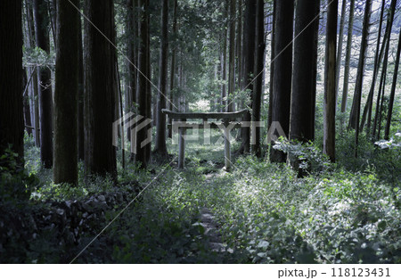 岡山県の新見市にある荒戸神社の鳥居 118123431