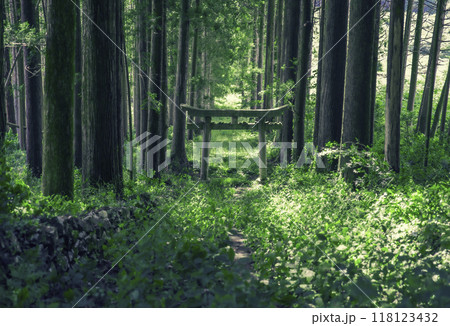 岡山県の新見市にある荒戸神社の鳥居 岡山県の新見市にある荒戸神社の鳥居 118123432