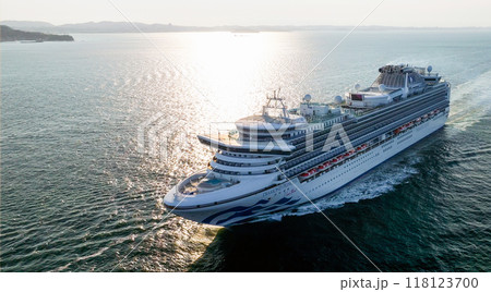 クルーズ客船　ダイヤモンド・プリンセスの船旅 118123700