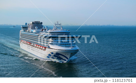 クルーズ客船　ダイヤモンド・プリンセスの船旅 118123701
