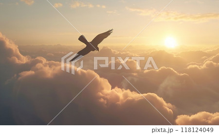 Image of a bird soaring above fluffy clouds enjoying a panoramic view 118124049